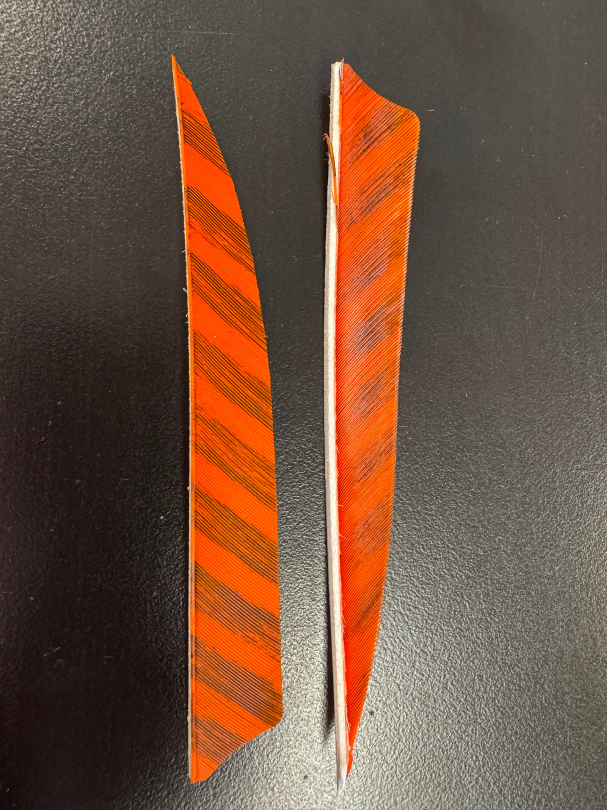 Gateway Feathers Fletchings 36 Pack