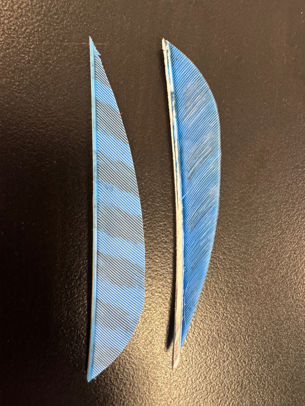 Gateway Feathers Fletchings 36 Pack