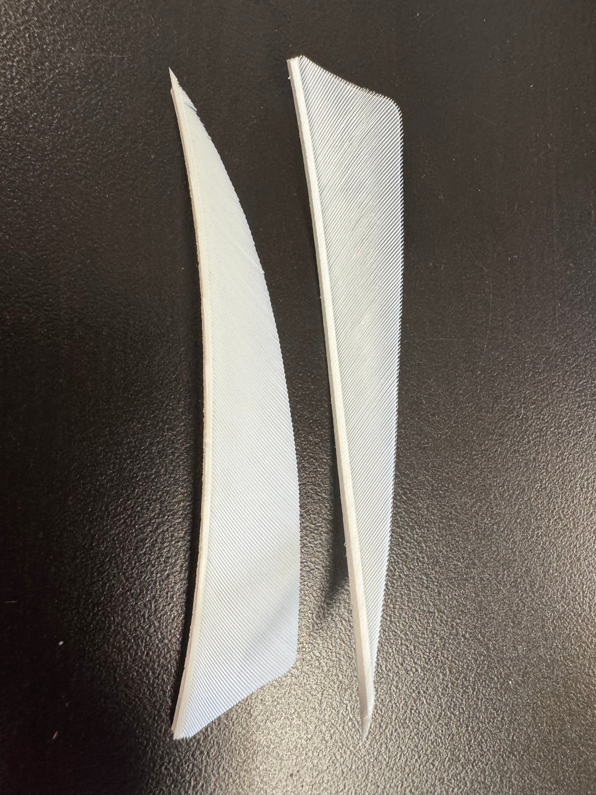 Gateway Feathers Fletchings 36 Pack