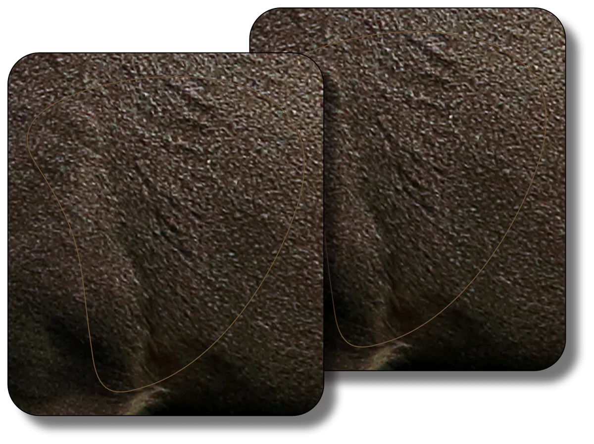 Deadnuts Outdoors 2d Targets Replacement Vital Zone 2-pack