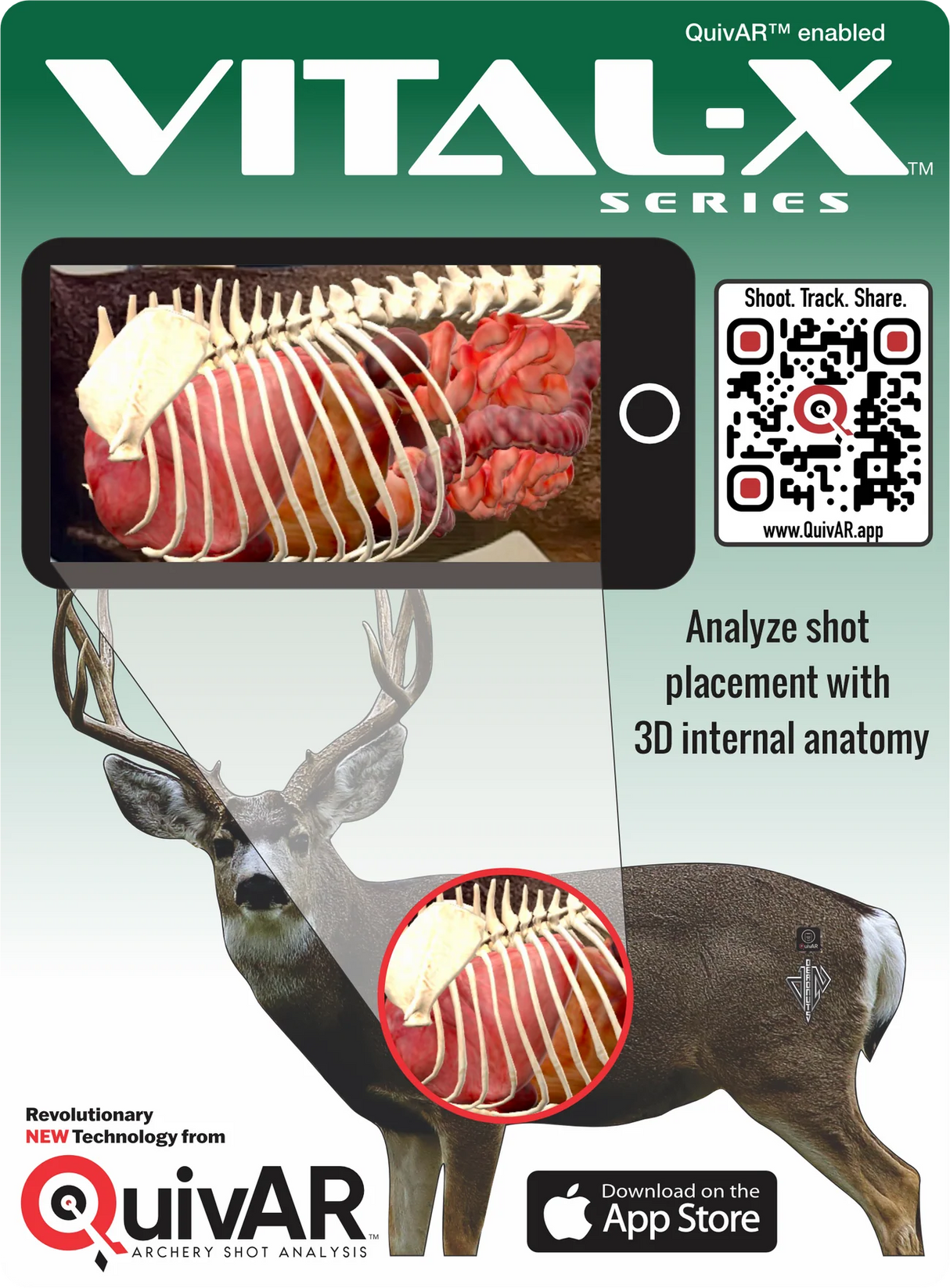 Deadnuts Outdoors 2D Vital Targets