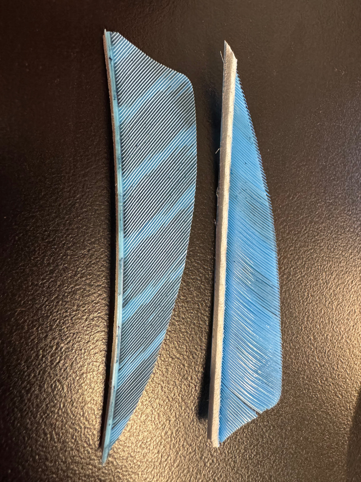 Gateway Feathers Fletchings 36 Pack