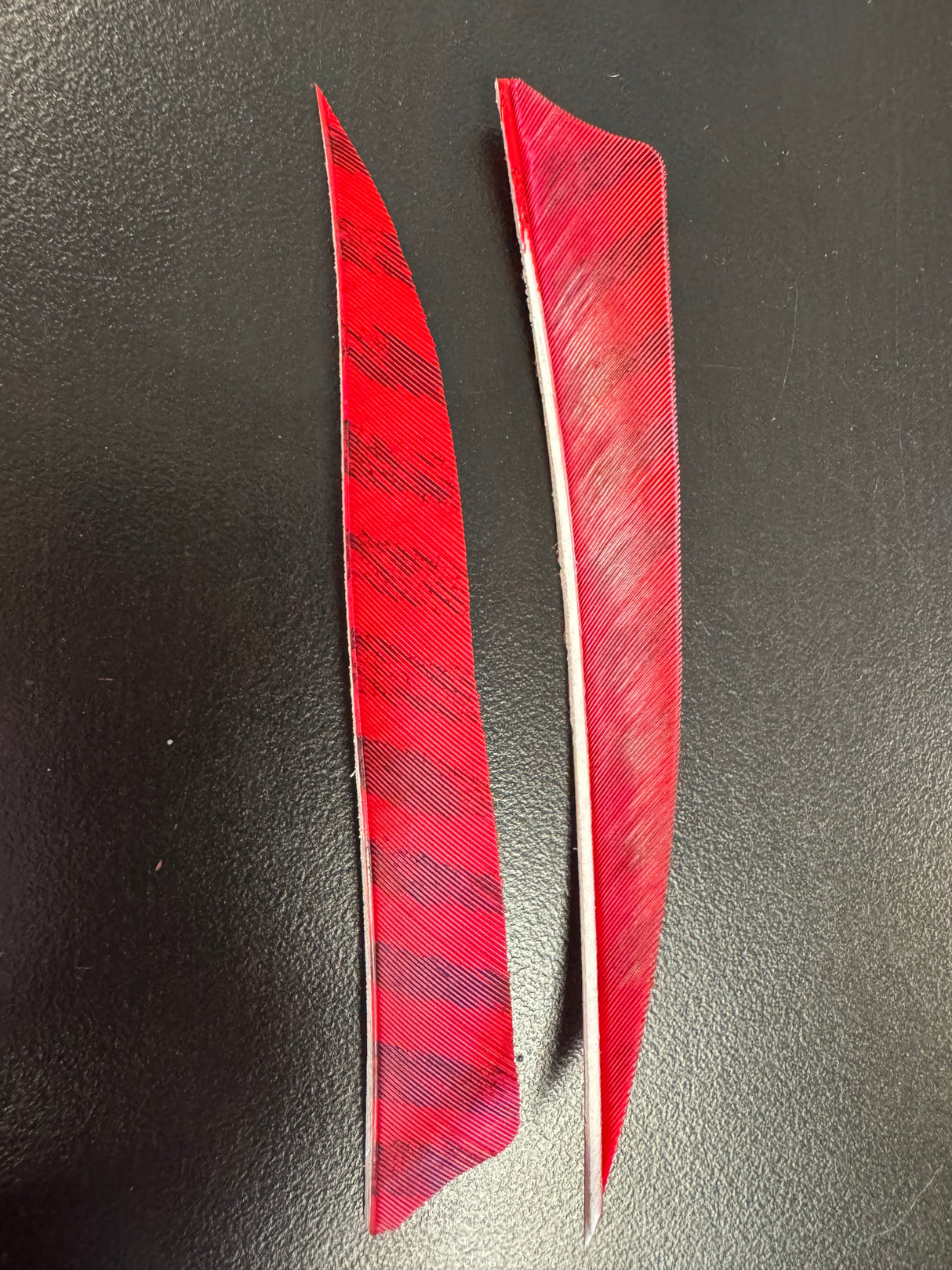 Gateway Feathers Fletchings 36 Pack