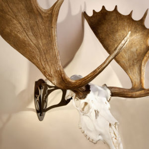 Skull Hooker Big Hooker CLOSEOUT