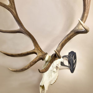 Skull Hooker Big Hooker CLOSEOUT