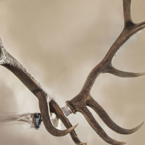 Skull Hooker XXL Bone Bracket Closeout