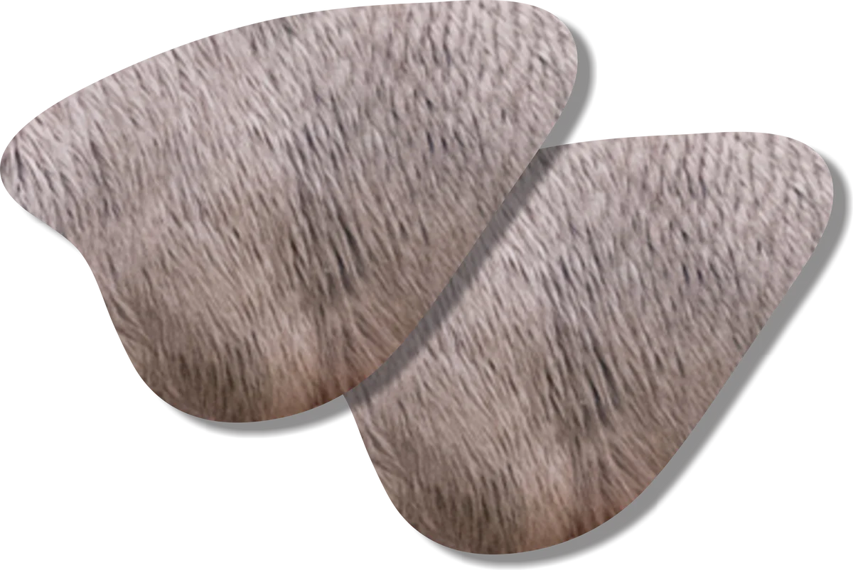 Deadnuts Outdoors 2d Targets Replacement Vital Zone 2-pack