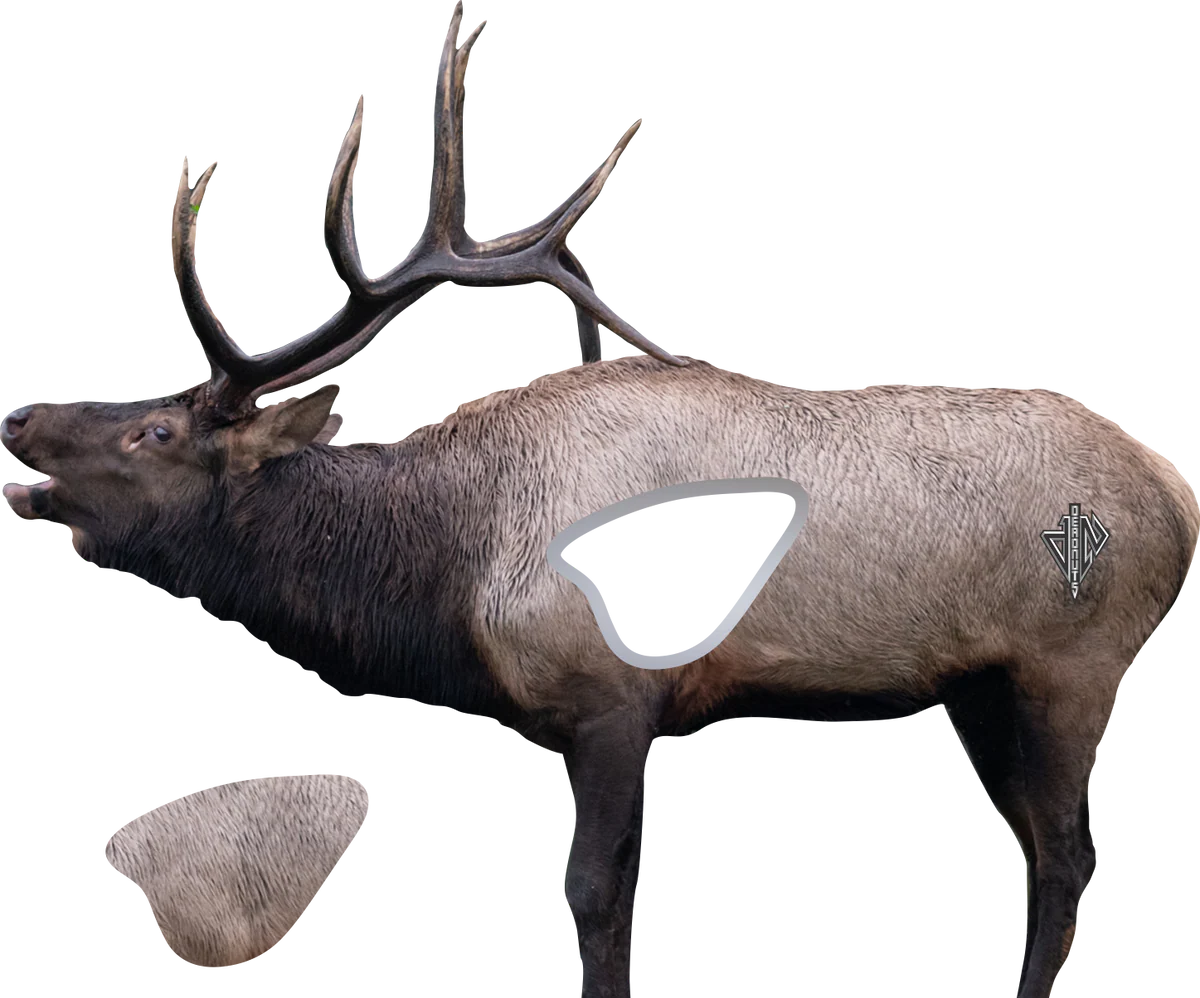 Deadnuts Outdoors 2d Targets Replacement Vital Zone 2-pack