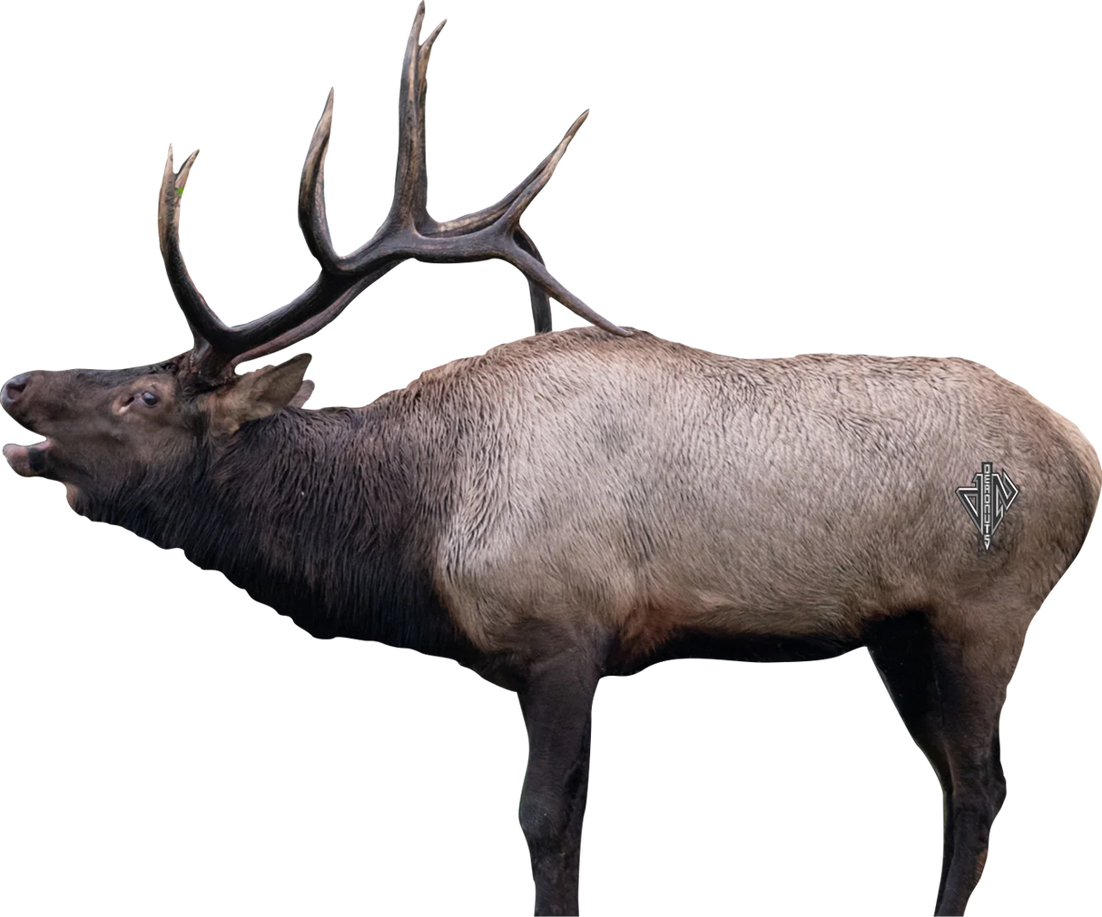 Deadnuts Outdoors 2D Vital Targets