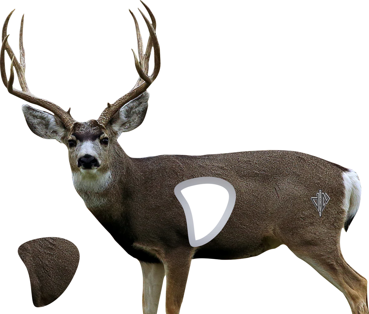 Deadnuts Outdoors 2d Targets Replacement Vital Zone 2-pack