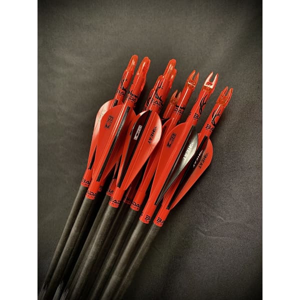 Custom Arrows - DOZEN - ARROWS