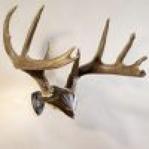 Skull Hooker Bone Bracket/Skull Cap combo - ARCHERY