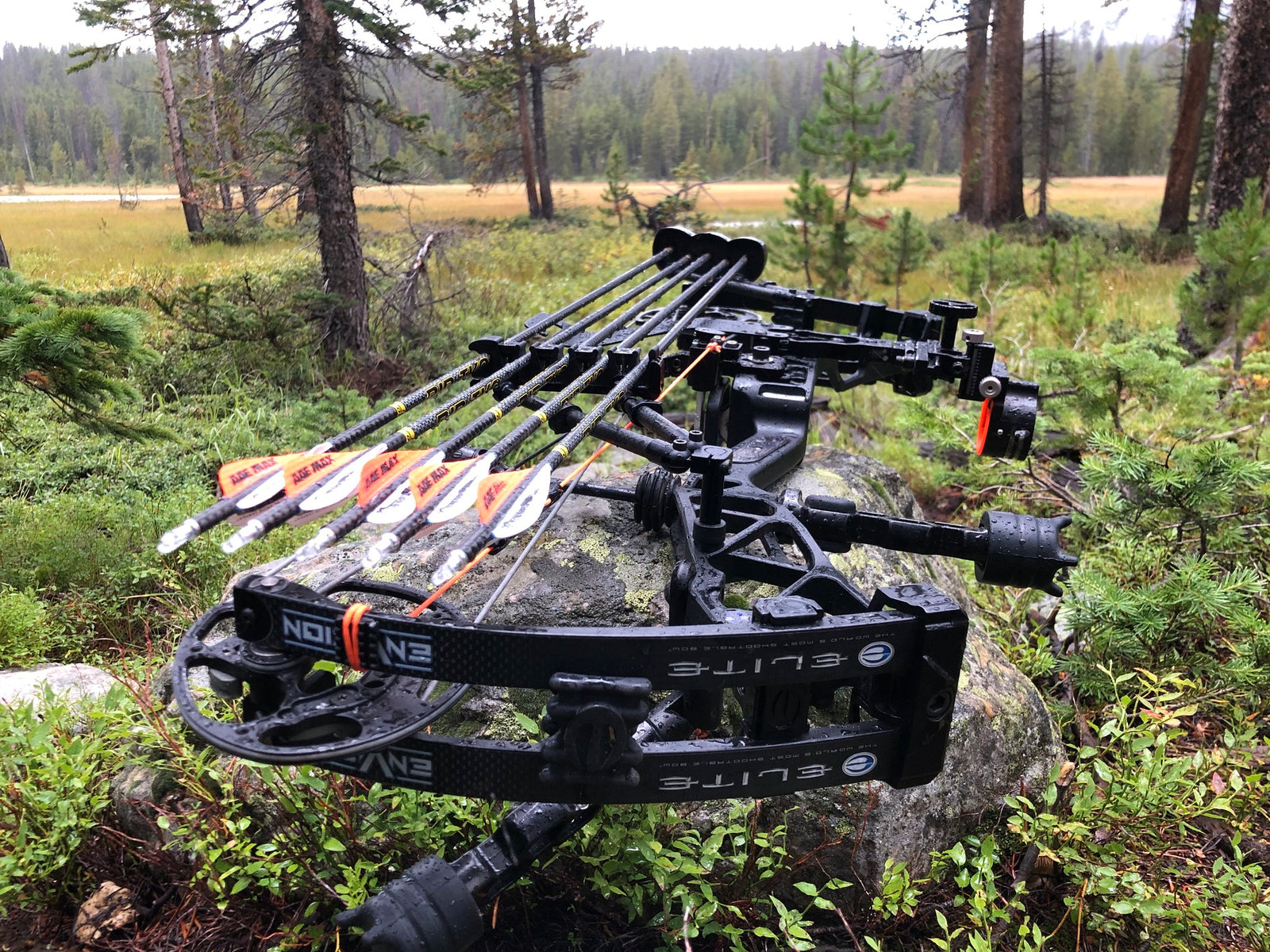 How to Choose Your First Compound Bow: A Comprehensive Guide