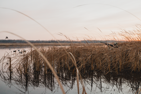 What to Wear Under Waders - Duck Hunting: A Complete Guide