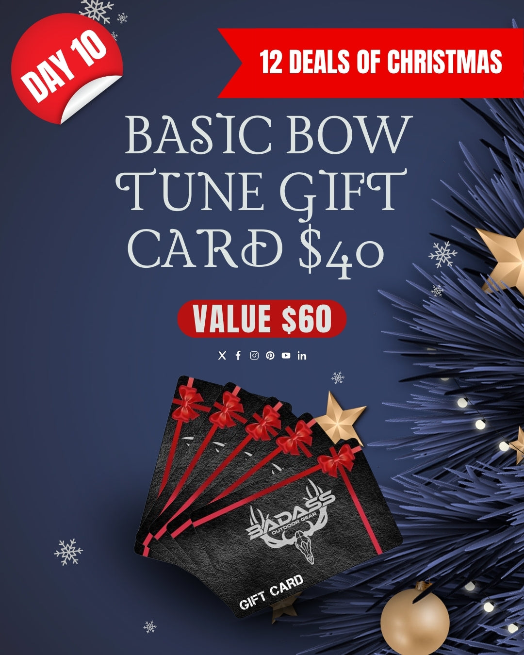 Basic Bow Tune Gift Card