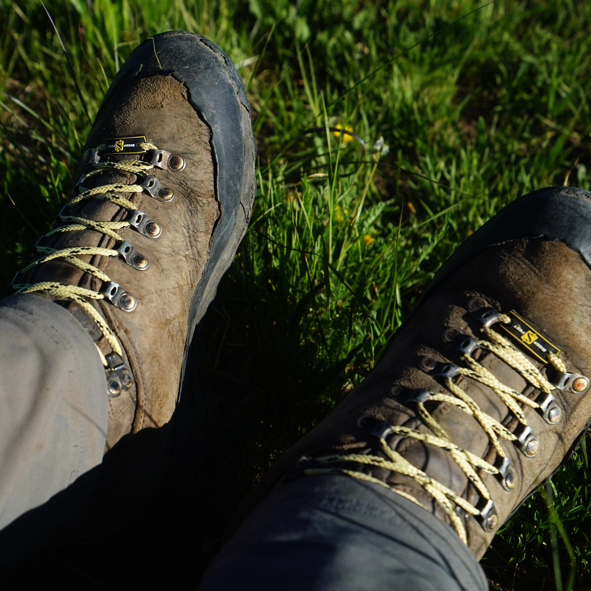 Rugged Laces