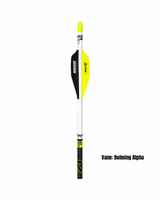 Custom Arrows