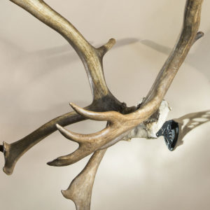 Skull Hooker XXL Bone Bracket Closeout