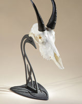 Skull Hooker Table Hooker CLOSEOUT